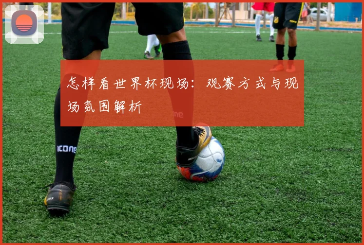 怎样看世界杯现场：观赛方式与现场氛围解析