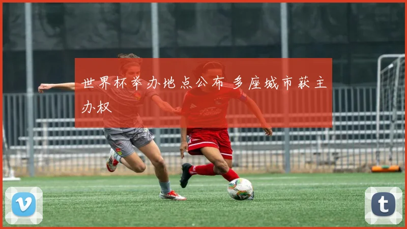 世界杯举办地点公布 多座城市获主办权