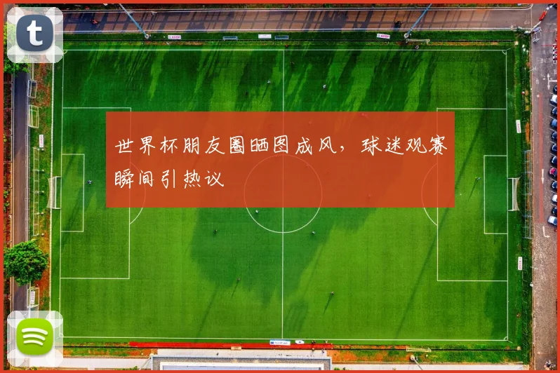 世界杯朋友圈晒图成风,球迷观赛瞬间引热议