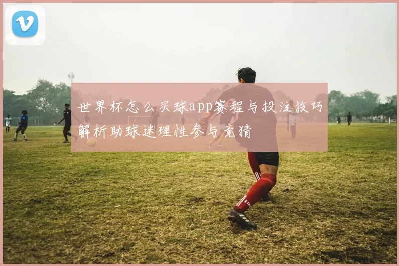 世界杯怎么买球app赛程与投注技巧解析助球迷理性参与竞猜